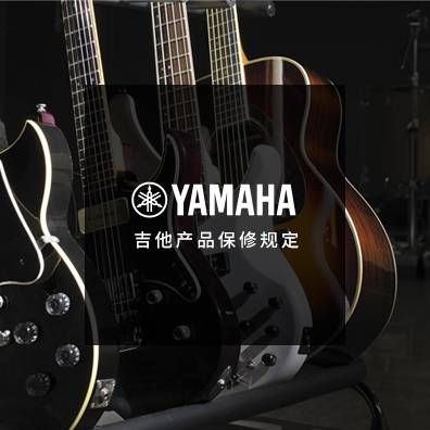吉他、贝斯和音箱